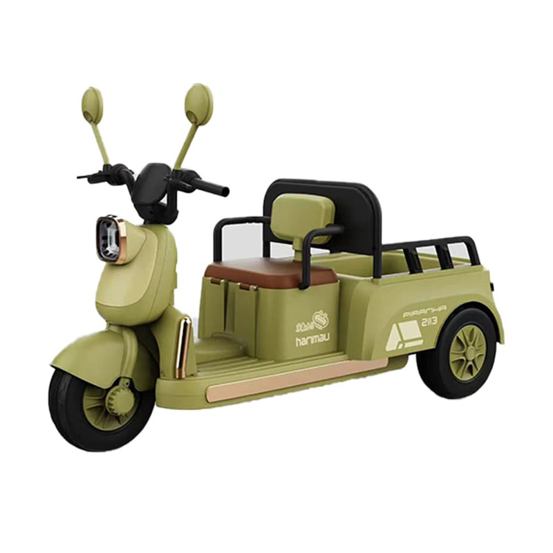 Kids Electric Tricycle with Multiple Configurations Available